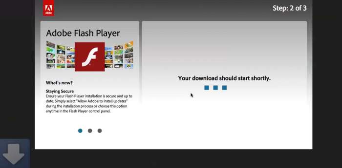 Best adobe flash player for ipad